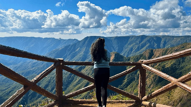 Top Reasons to Choose Self-Drive Cars for Ultimate Freedom